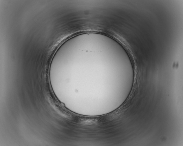 X0000111780155200907230957