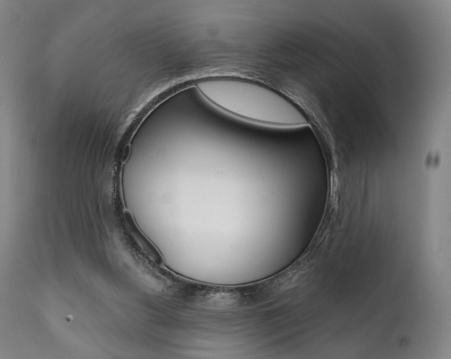 X0000111780156200907230957