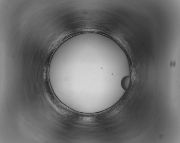 X0000111780157200907230957