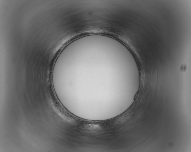 X0000111780159200907230957