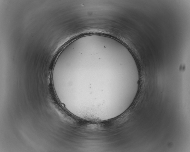 X0000111780160200907230957