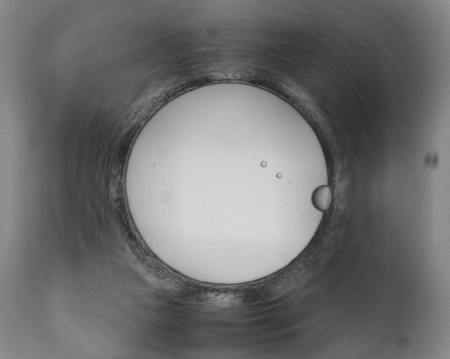 X0000111780161200907230957