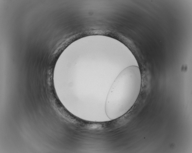 X0000111780162200907230957