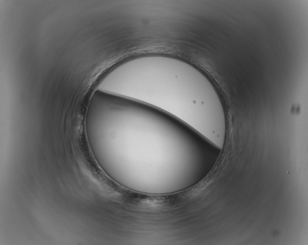 X0000111780164200907230957