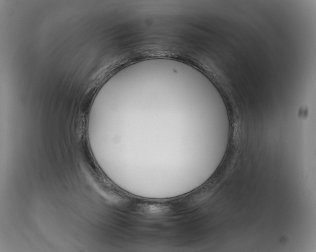 X0000111780165200907230957