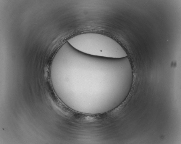 X0000111780166200907230957