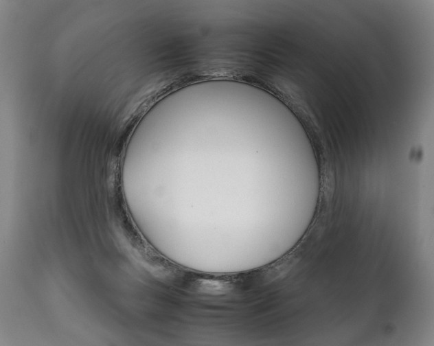 X0000111780167200907230957