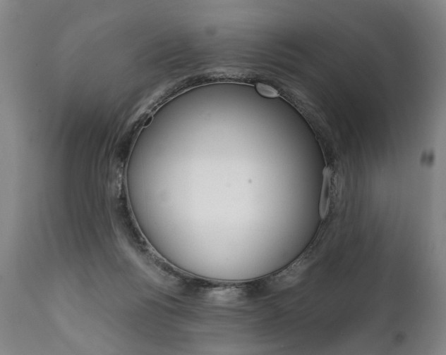 X0000111780168200907230957