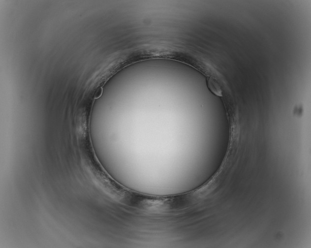 X0000111780170200907230957