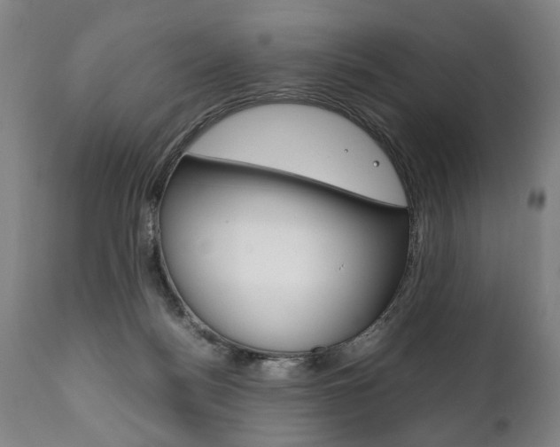 X0000111780172200907230957