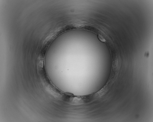 X0000111780180200907230957