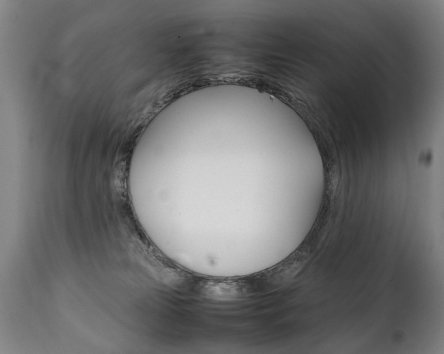 X0000111780181200907230957