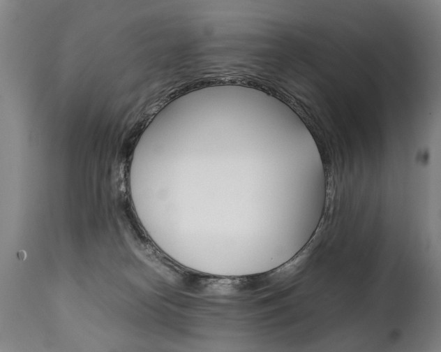X0000111780182200907230957