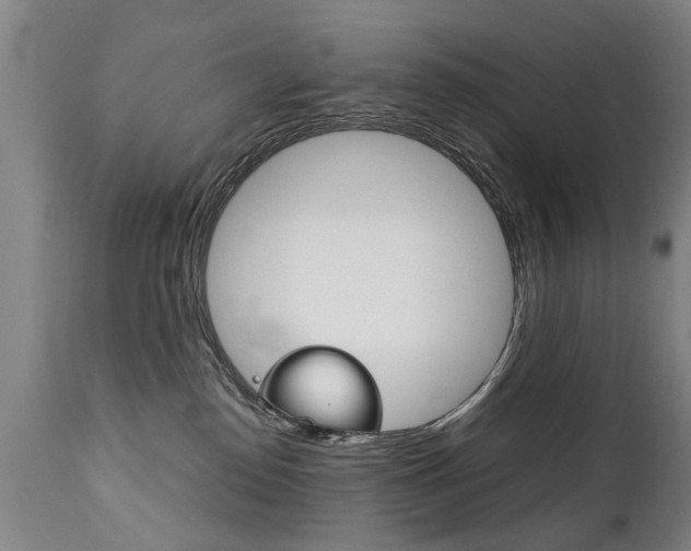X0000111780186200907230957
