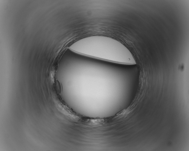 X0000111780188200907230957