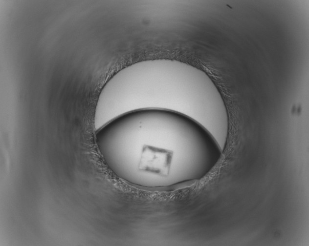 X0000111780192200907230957