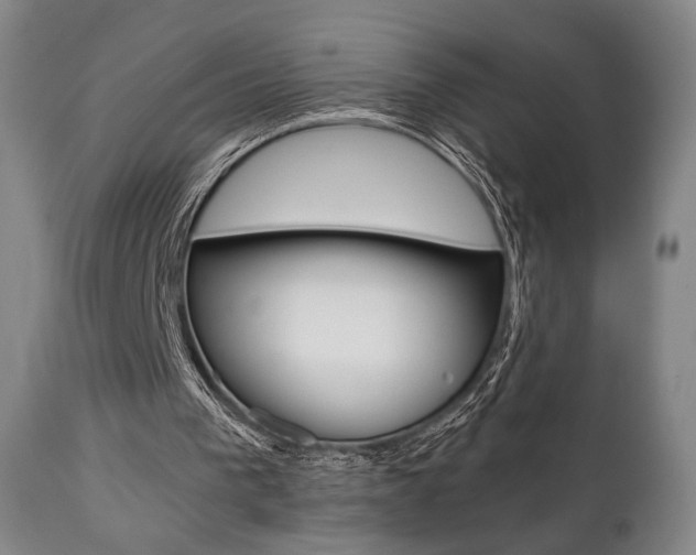 X0000111780193200907230957