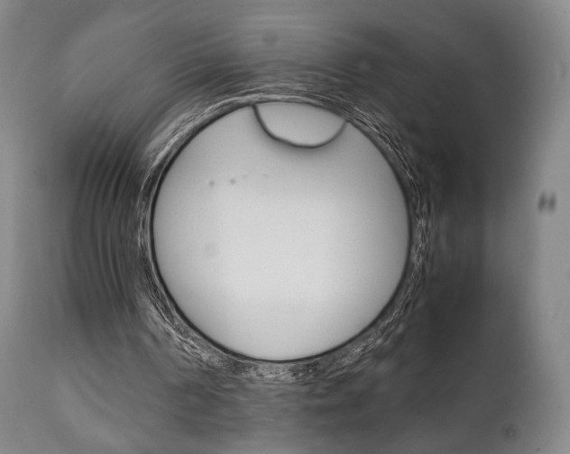 X0000111780194200907230957