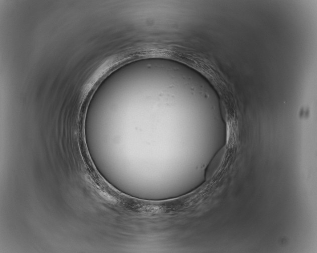 X0000111780195200907230957