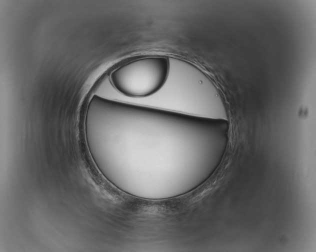 X0000111780200200907230957