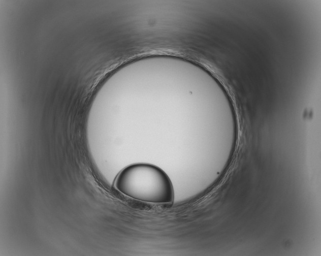 X0000111780201200907230957
