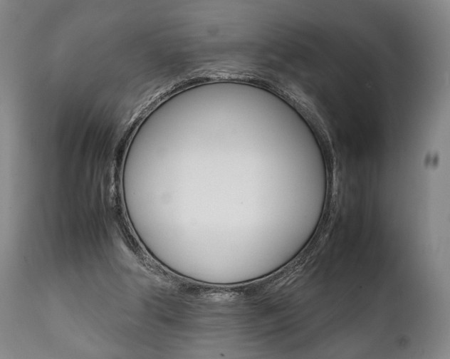 X0000111780202200907230957