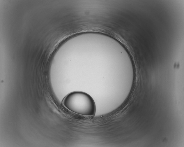 X0000111780203200907230957