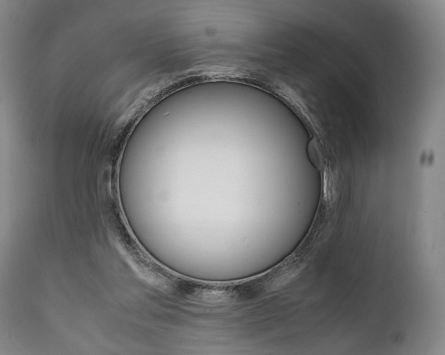 X0000111780205200907230957