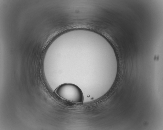 X0000111780207200907230957