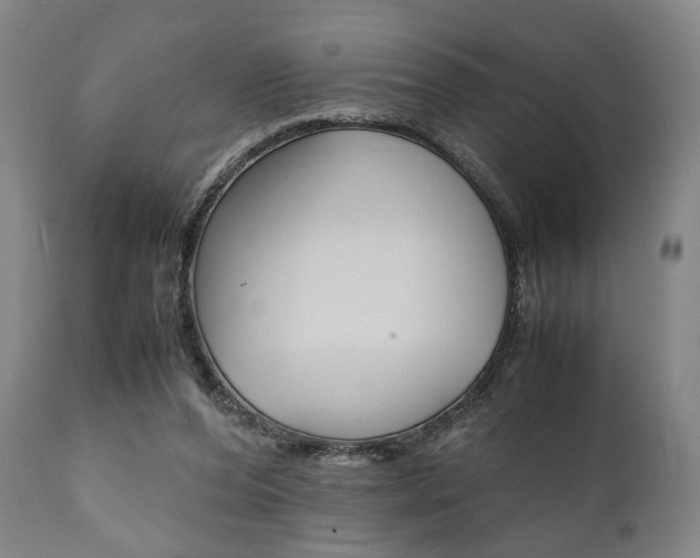 X0000111780208200907230957