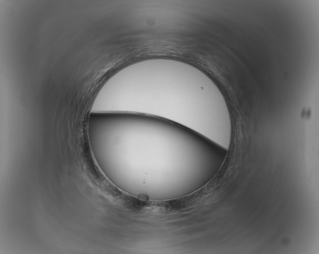 X0000111780211200907230957