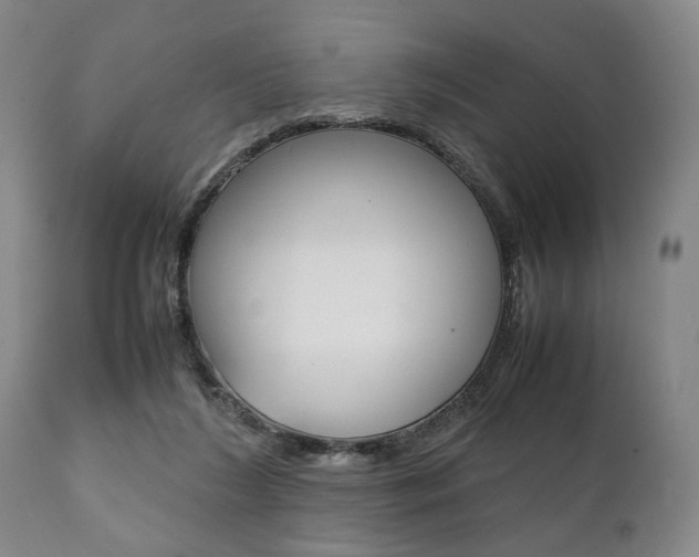 X0000111780212200907230957