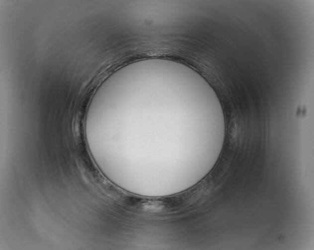 X0000111780214200907230956