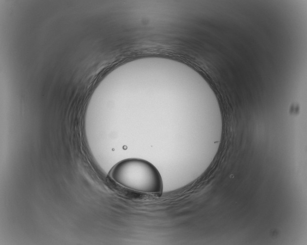 X0000111780215200907230956
