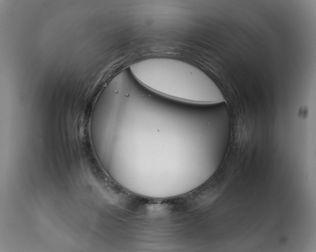 X0000111780216200907230956
