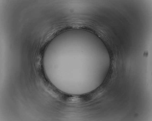 X0000111780219200907230956