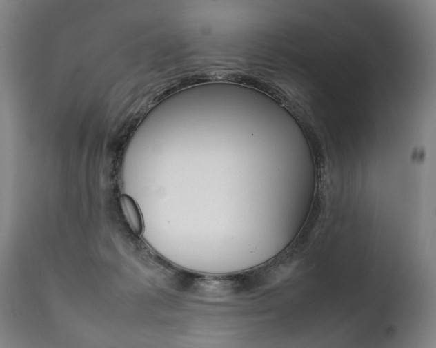 X0000111780221200907230956