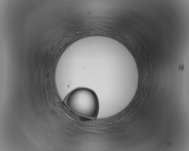X0000111780223200907230956
