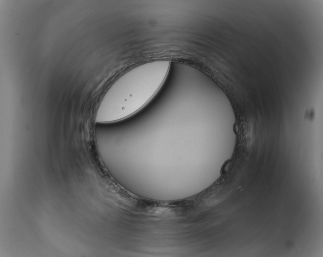 X0000111780224200907230956