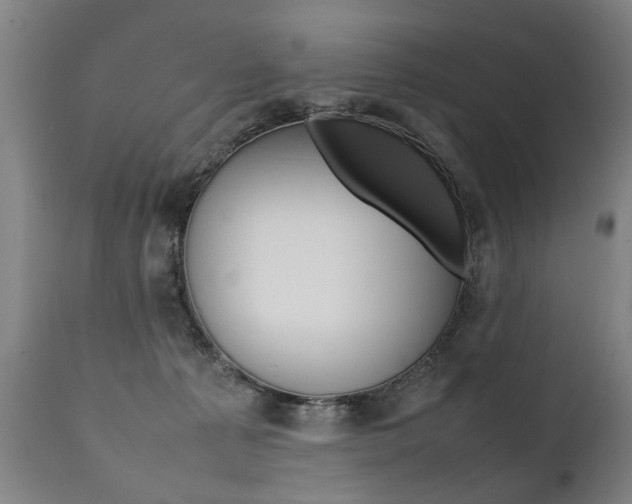 X0000111780225200907230956