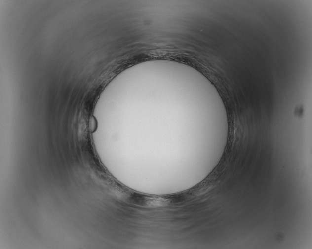 X0000111780226200907230956