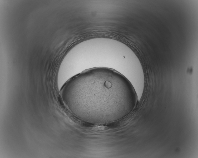 X0000111780227200907230956