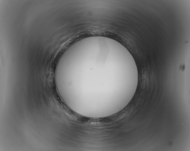 X0000111780228200907230956