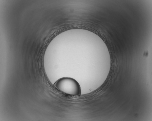 X0000111780229200907230956