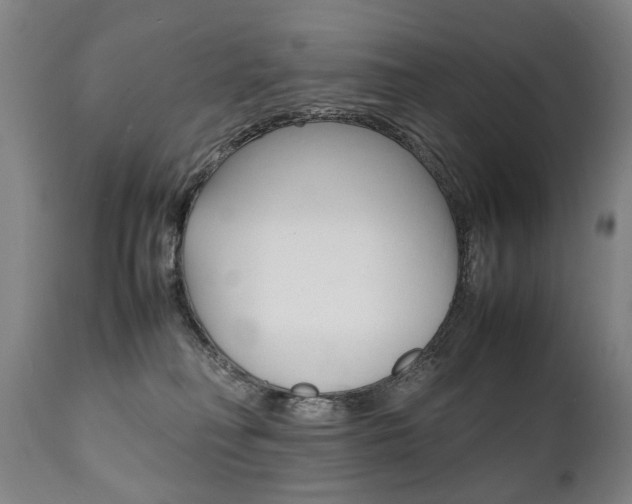 X0000111780230200907230956