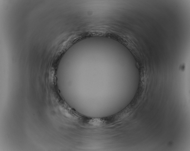 X0000111780231200907230956