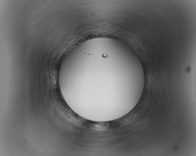 X0000111780232200907230956