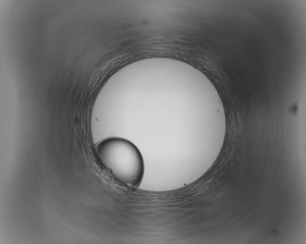 X0000111780233200907230956