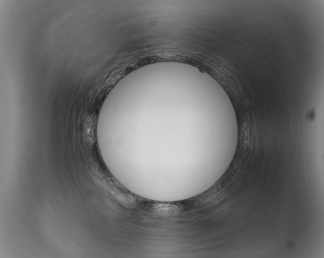 X0000111780234200907230956