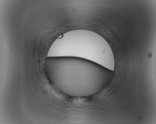 X0000111780235200907230956